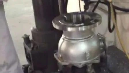 Brida de rosca atornillada de acero inoxidable de proveedores de fábrica